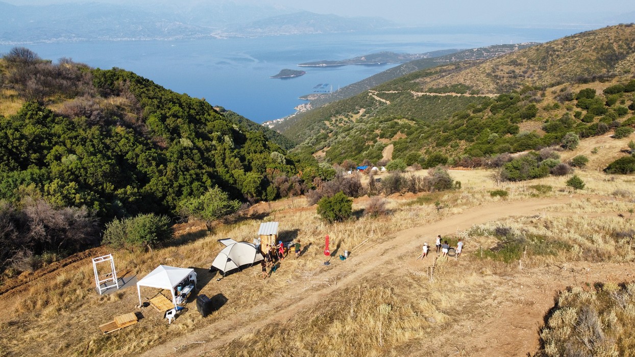 Construction of animal shelter