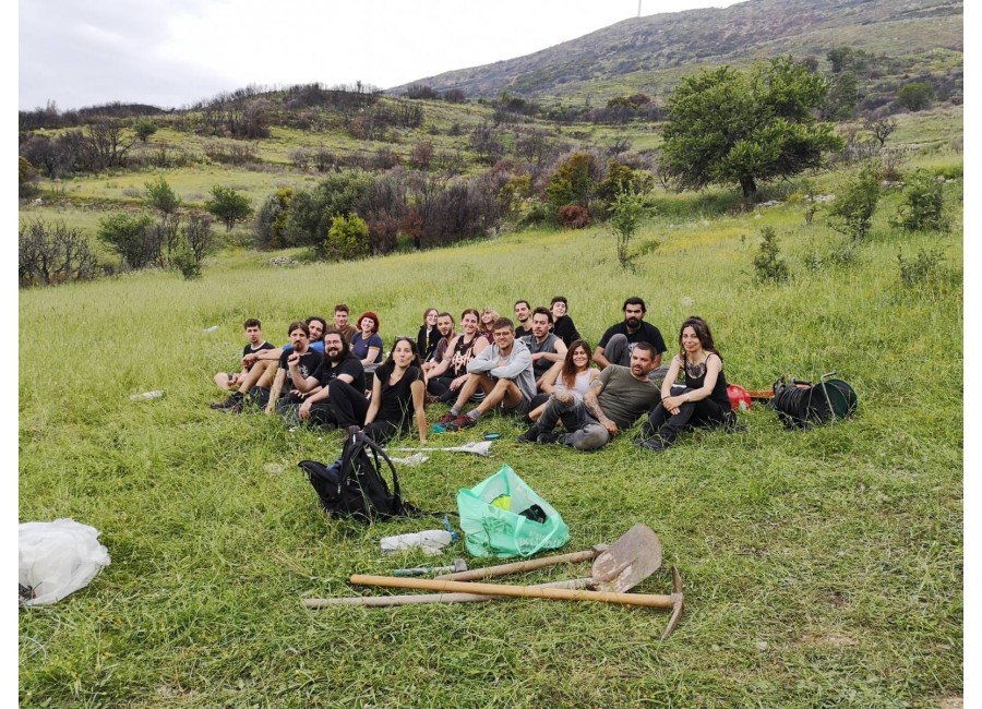 Construction of animal shelter
