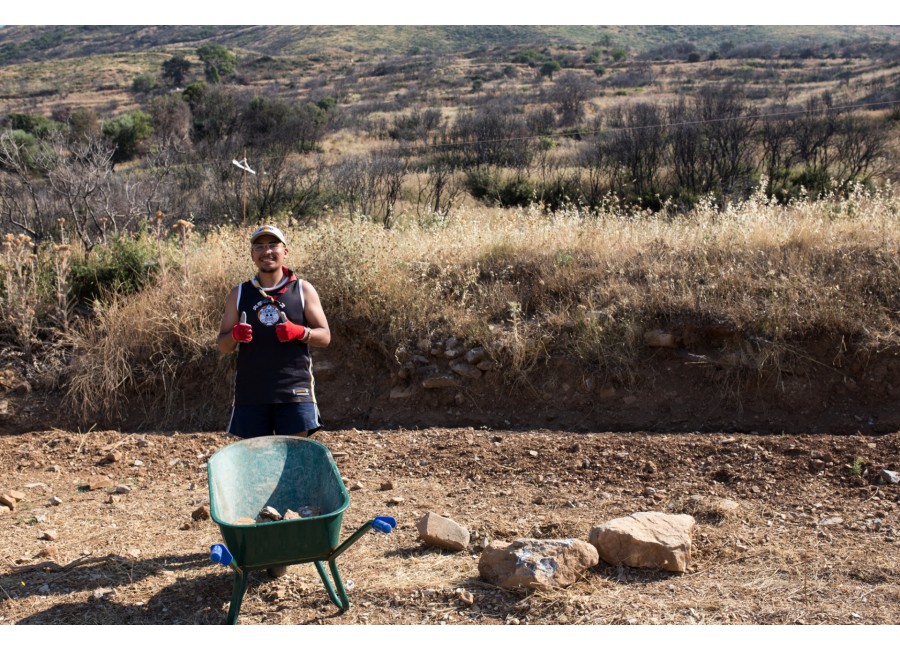 Construction of animal shelter