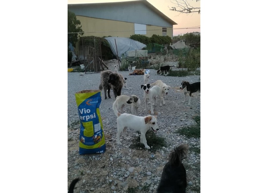 Giving Tuesday 2021 - Περπατάμε και προσφέρουμε Αγάπη σε όλα τα πλάσματα του πλανήτη!