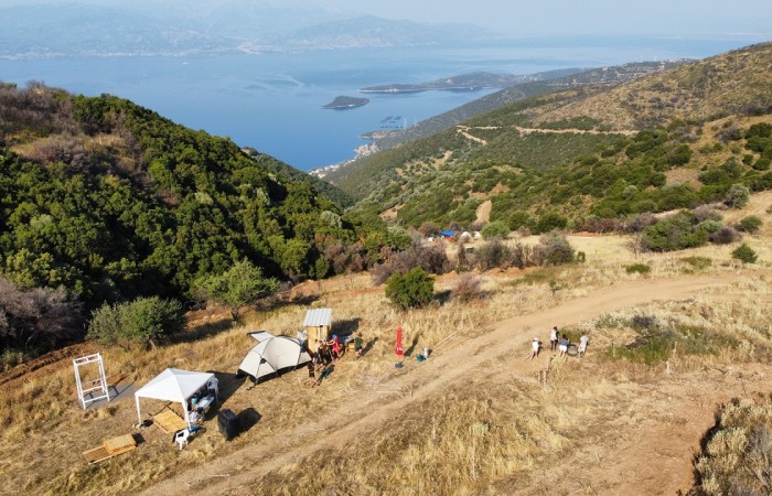 Construction of animal shelter